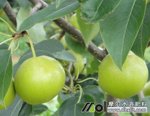 ׷ʩˮܛ_ʩ