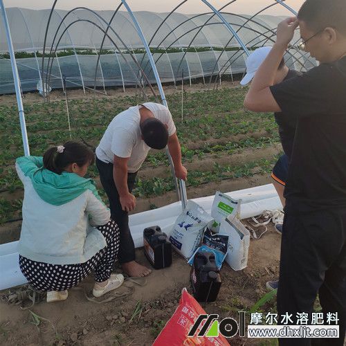X鿴f2